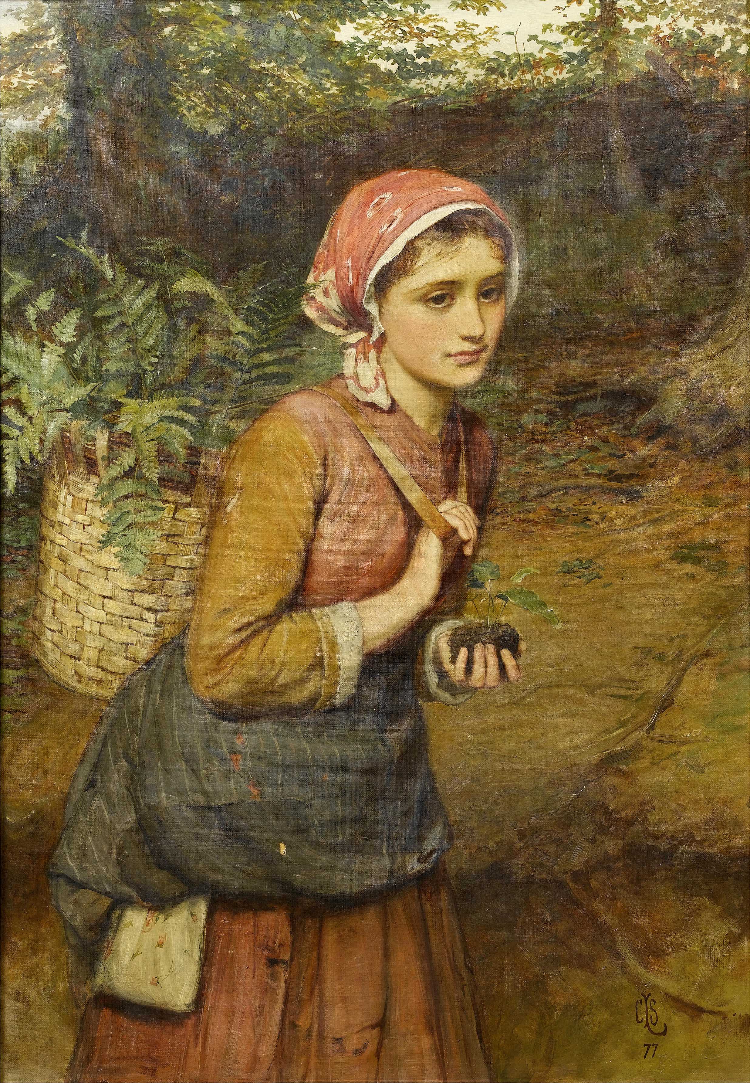 The fern gatherer